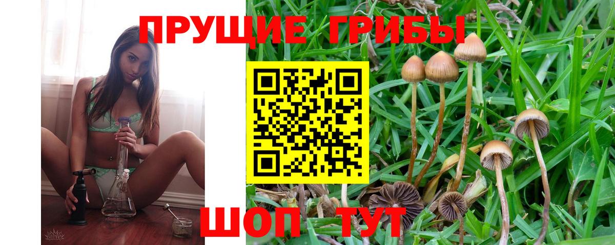 Галлюциногенные грибы Cubensis Кириши