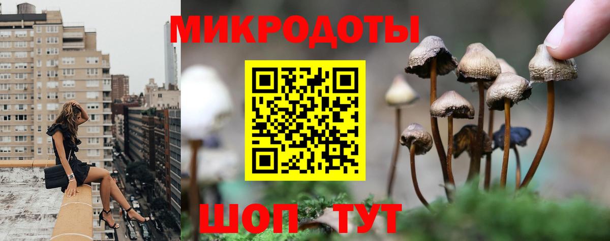 Кириши  Псилоцибиновые грибы MAGIC MUSHROOMS  Вход с VPN 