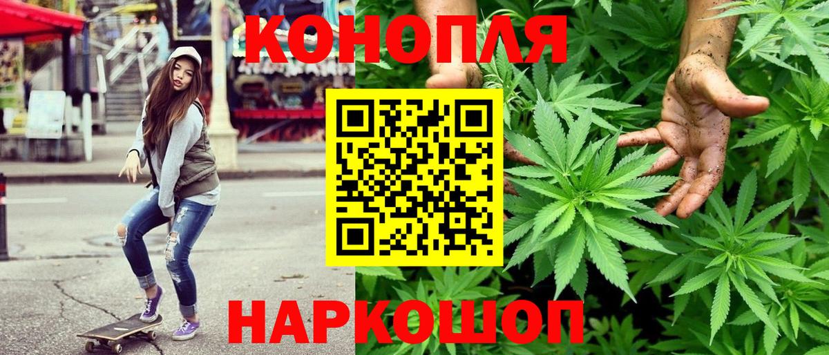 Конопля MAZAR Кириши